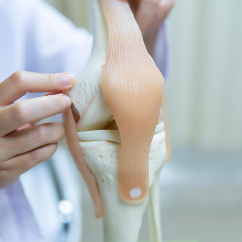 professional-doctor-pointed-area-model-knee-joint-medical-orthopedic-concept