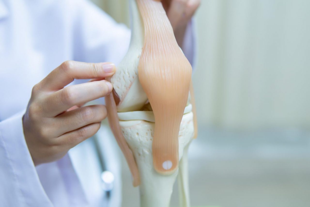 professional-doctor-pointed-area-model-knee-joint-medical-orthopedic-concept